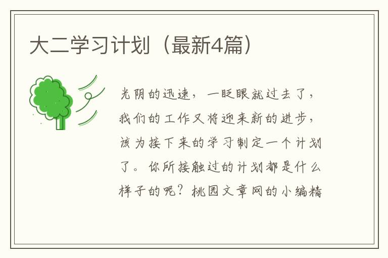 大二学习计划(最新4篇)