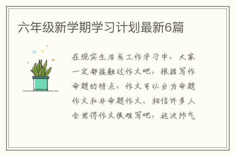 六年级新学期学习计划最新6篇