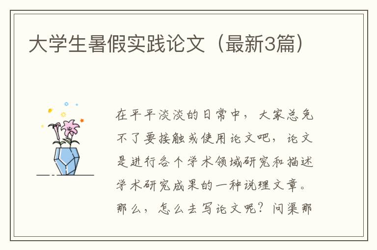 大学生暑假实践论文（最新3篇）