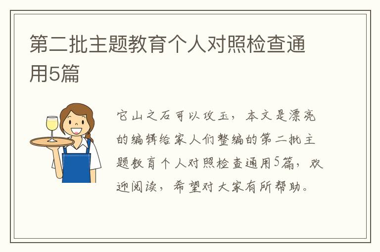 第二批主题教育个人对照检查通用5篇