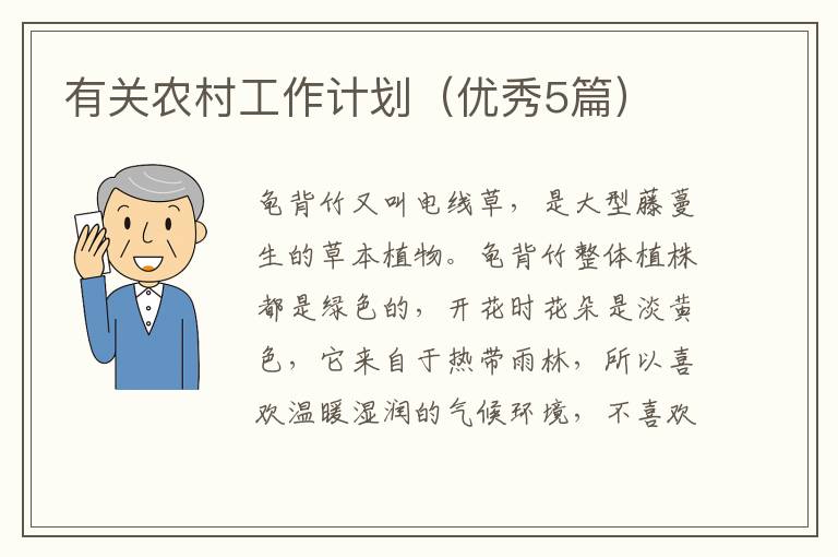 有关农村工作计划(优秀5篇)