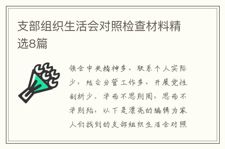 支部组织生活会对照检查材料精选8