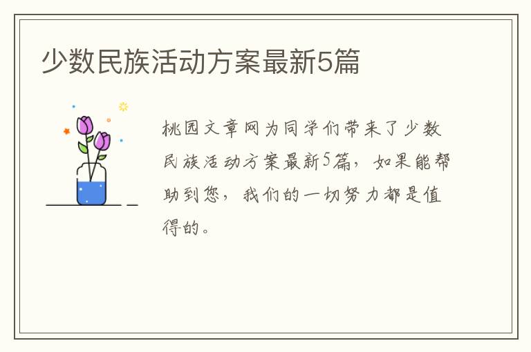 少数民族活动方案最新5篇