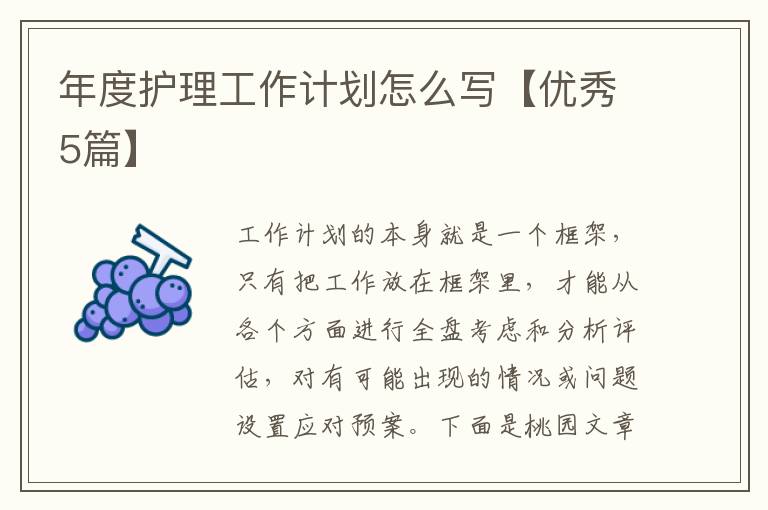 年度护理工作计划怎么写【优秀5篇