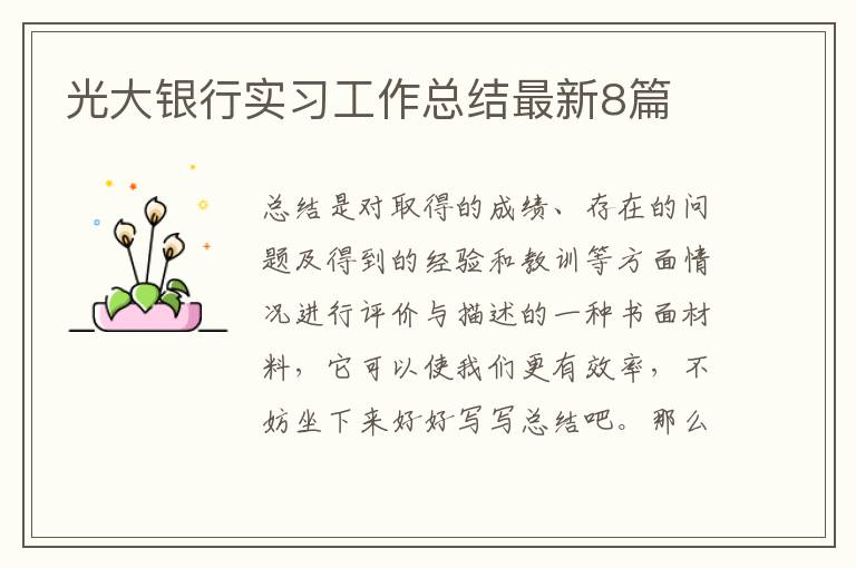 光大银行实习工作总结最新8篇