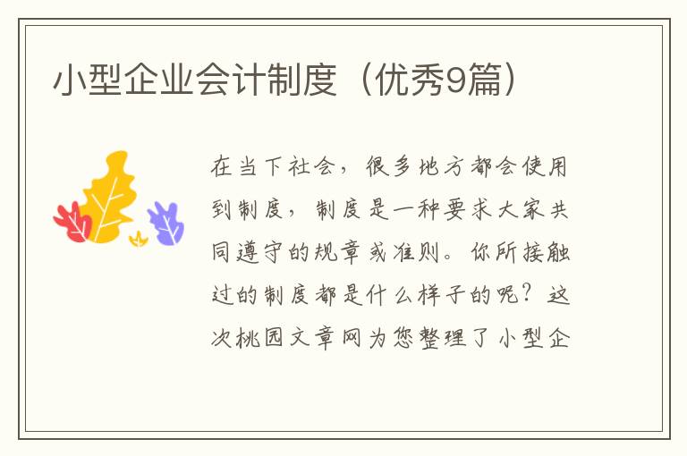 小型企业会计制度（优秀9篇）