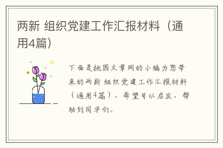 两新 组织党建工作汇报材料(通用4篇