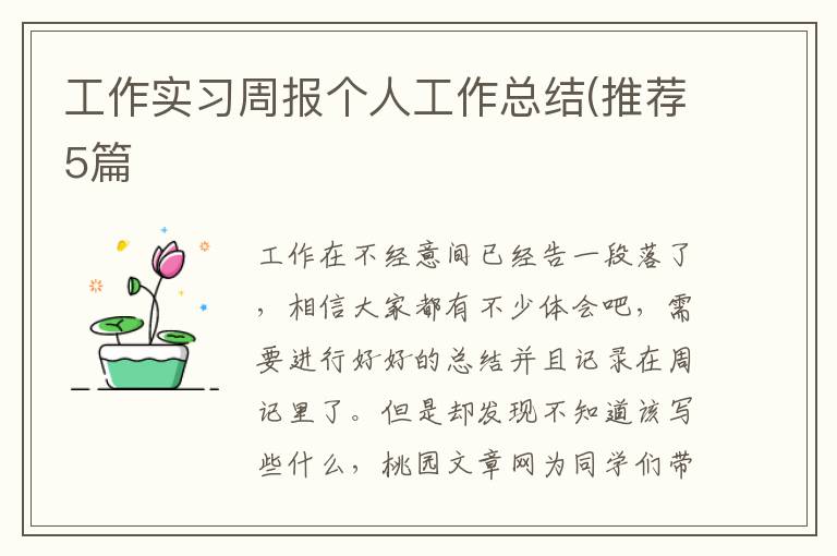 工作实习周报个人工作总结(推荐5篇