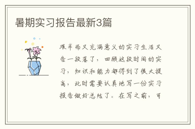 暑期实习报告最新3篇