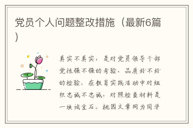 党员个人问题整改措施(最新6篇)