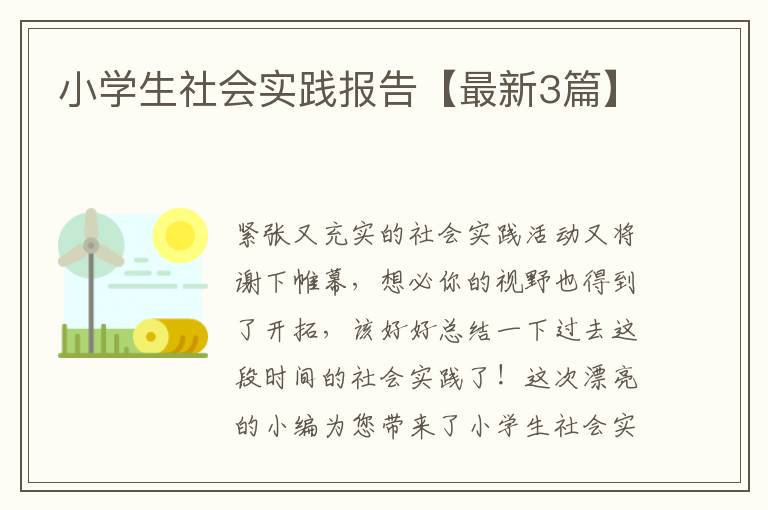 小学生社会实践报告【最新3篇】