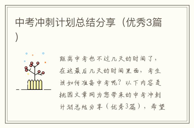 中考冲刺计划总结分享（优秀3篇）