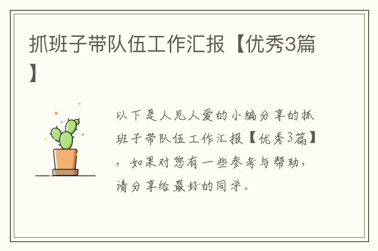 抓班子带队伍工作汇报【优秀3篇】