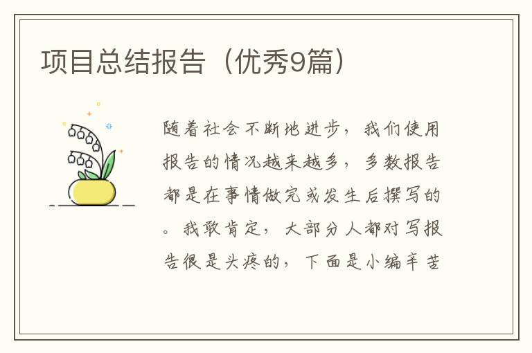 项目总结报告（优秀9篇）