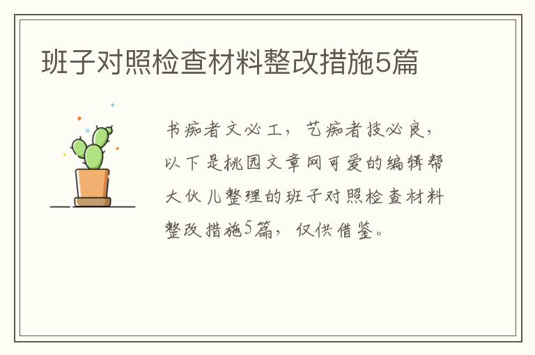 班子对照检查材料整改措施5篇