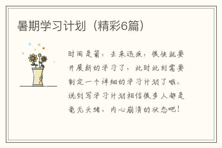 暑期学习计划(精彩6篇)