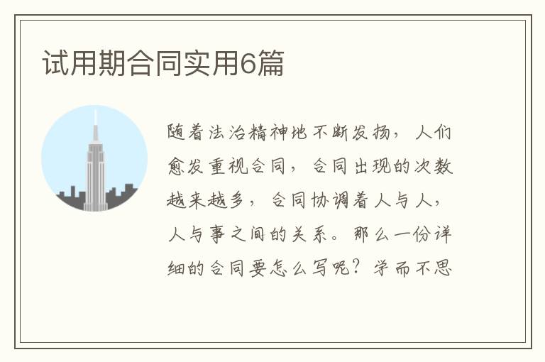 试用期合同实用6篇