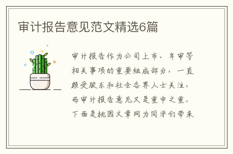审计报告意见范文精选6篇