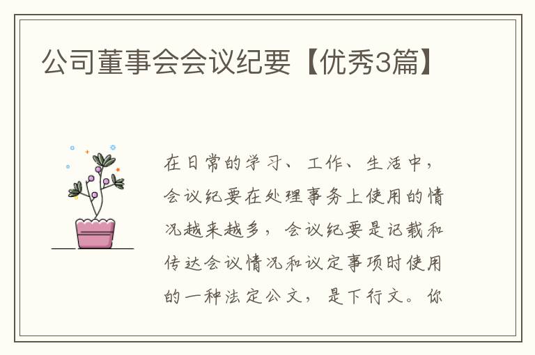 公司董事会会议纪要【优秀3篇】