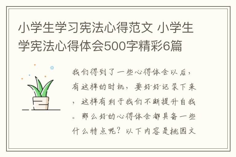 小学生学习宪法心得范文 小学生学