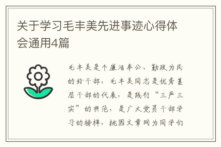 关于学习毛丰美先进事迹心得体会通