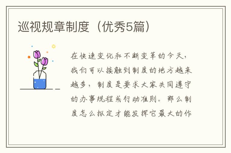 巡视规章制度（优秀5篇）