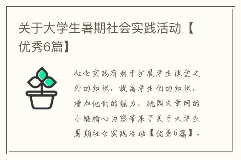 关于大学生暑期社会实践活动【优秀