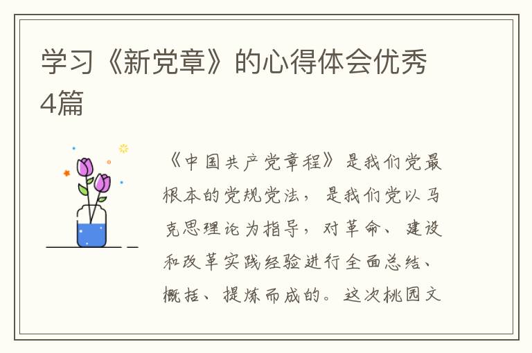 学习《新党章》的心得体会优秀4篇