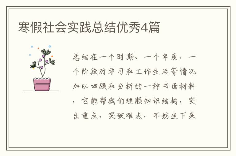 寒假社会实践总结优秀4篇
