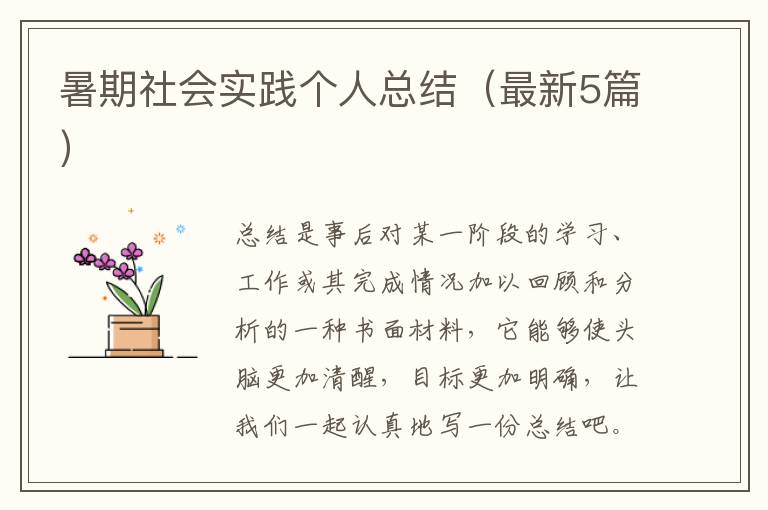 暑期社会实践个人总结（最新5篇）