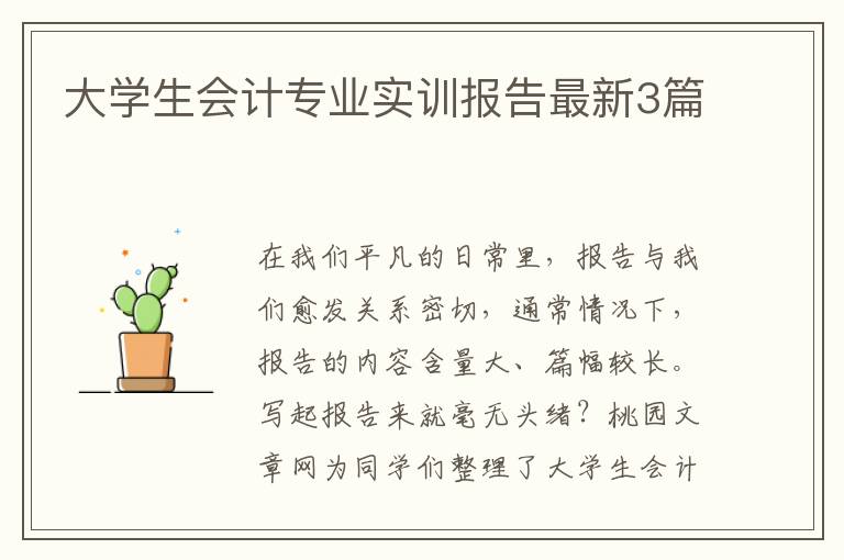 大学生会计专业实训报告最新3篇