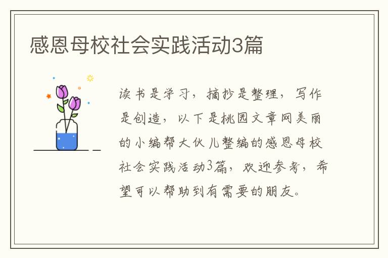 感恩母校社会实践活动3篇