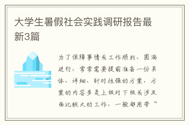 大学生暑假社会实践调研报告最新3