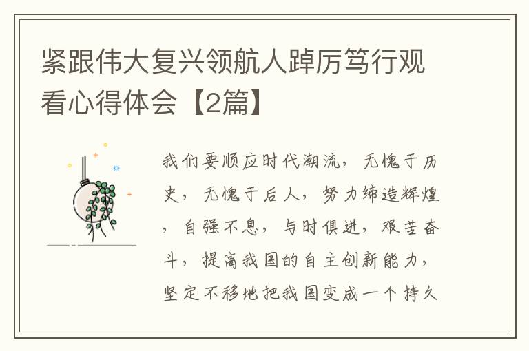 紧跟伟大复兴领航人踔厉笃行观看心得体会【2篇】