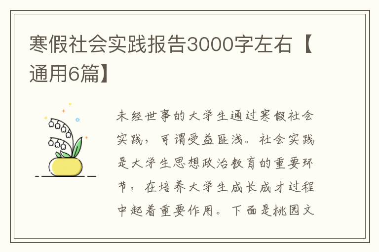 寒假社会实践报告3000字左右【通用