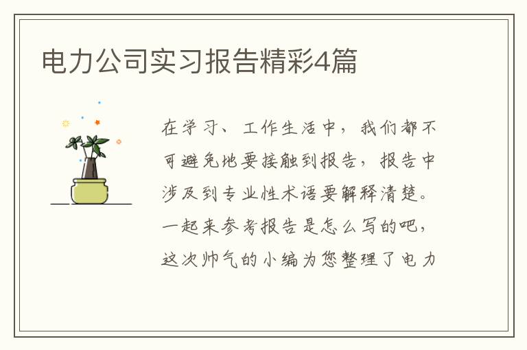 电力公司实习报告精彩4篇