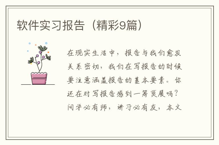 软件实习报告(精彩9篇)