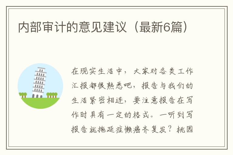 内部审计的意见建议(最新6篇)