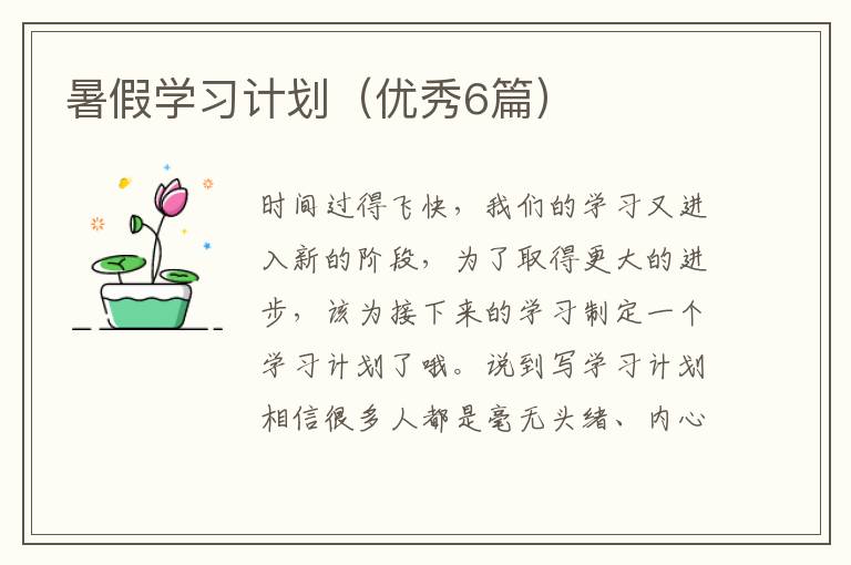 暑假学习计划（优秀6篇）