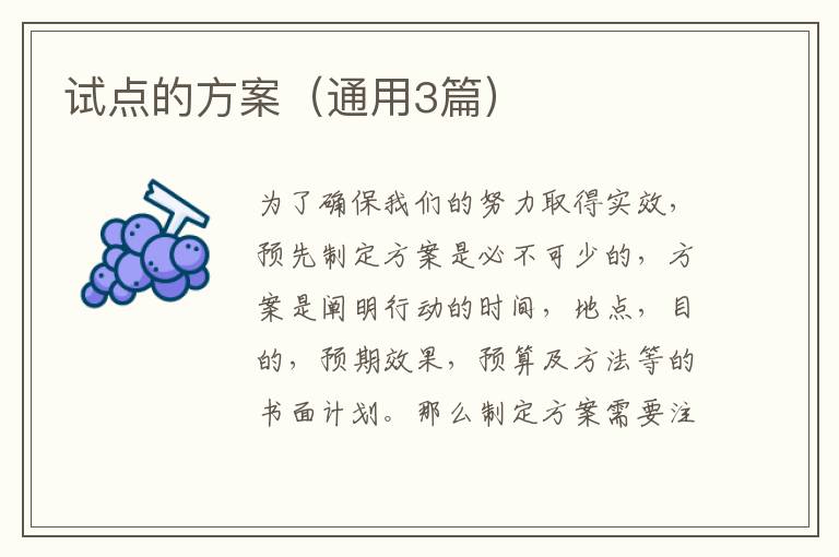试点的方案（通用3篇）