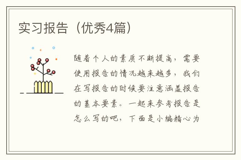 实习报告(优秀4篇)
