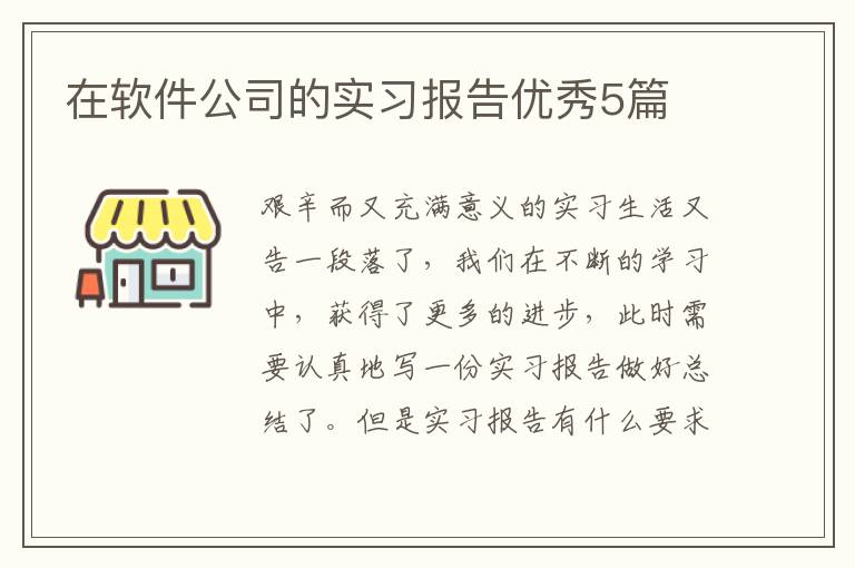 在软件公司的实习报告优秀5篇
