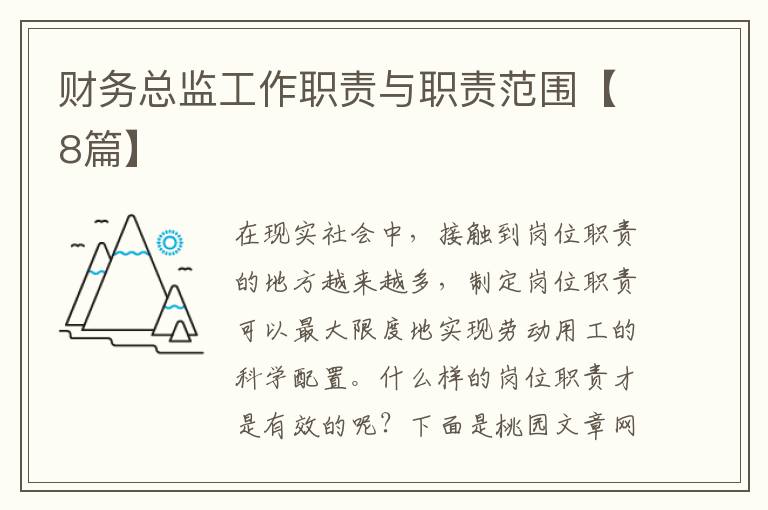 财务总监工作职责与职责范围【8篇