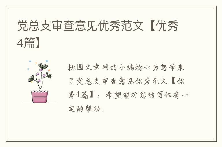 党总支审查意见优秀范文【优秀4篇