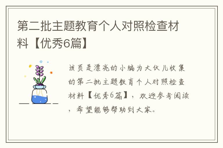 第二批主题教育个人对照检查材料【
