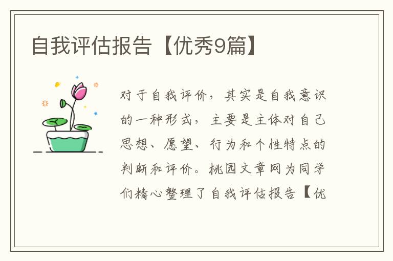 自我评估报告【优秀9篇】