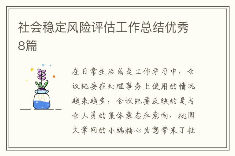 社会稳定风险评估工作总结优秀8篇