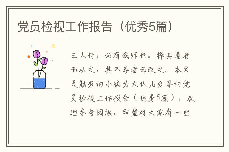 党员检视工作报告（优秀5篇）