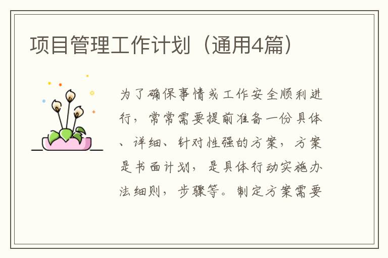 项目管理工作计划(通用4篇)