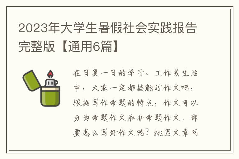 2023年大学生暑假社会实践报告完整